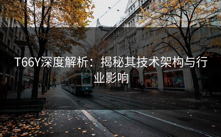 T66Y深度解析：揭秘其技术架构与行业影响