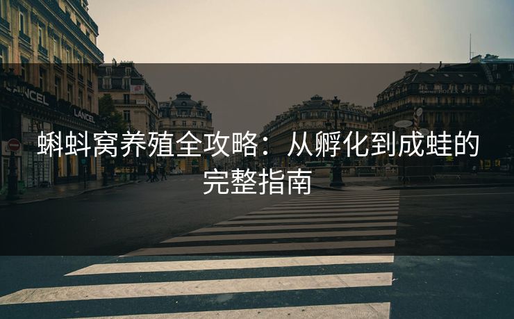 蝌蚪窝养殖全攻略：从孵化到成蛙的完整指南