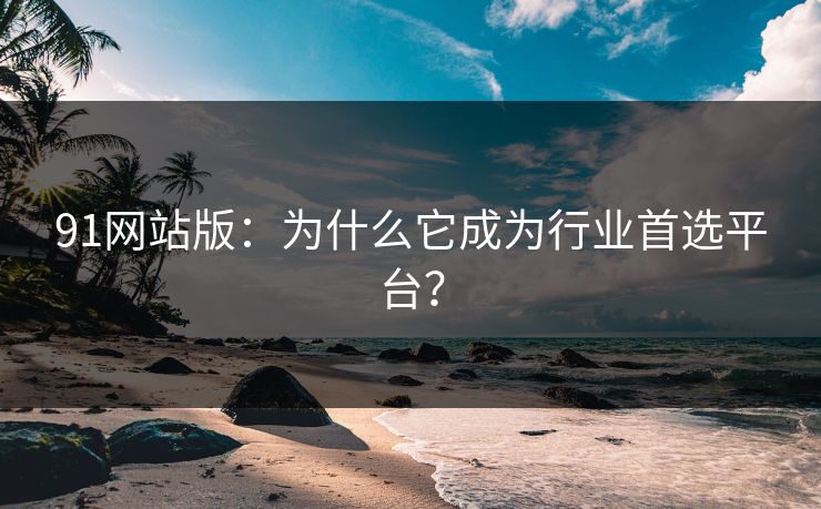 91网站版：为什么它成为行业首选平台？