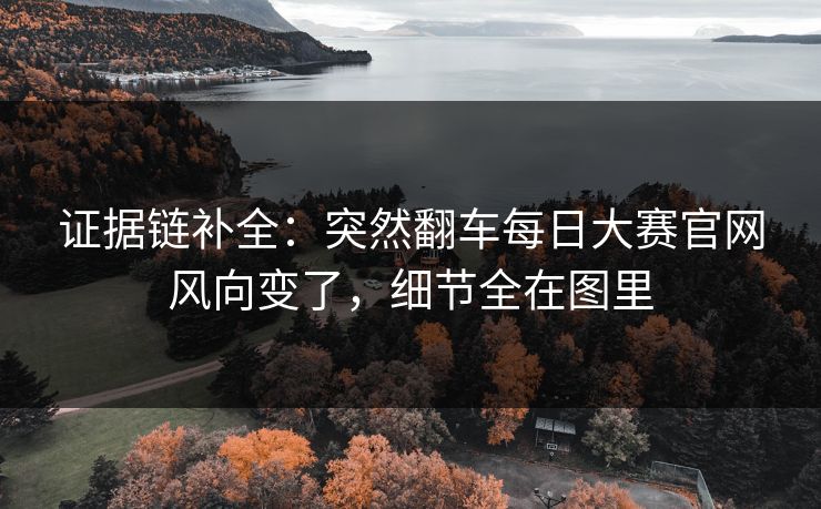 证据链补全：突然翻车每日大赛官网风向变了，细节全在图里